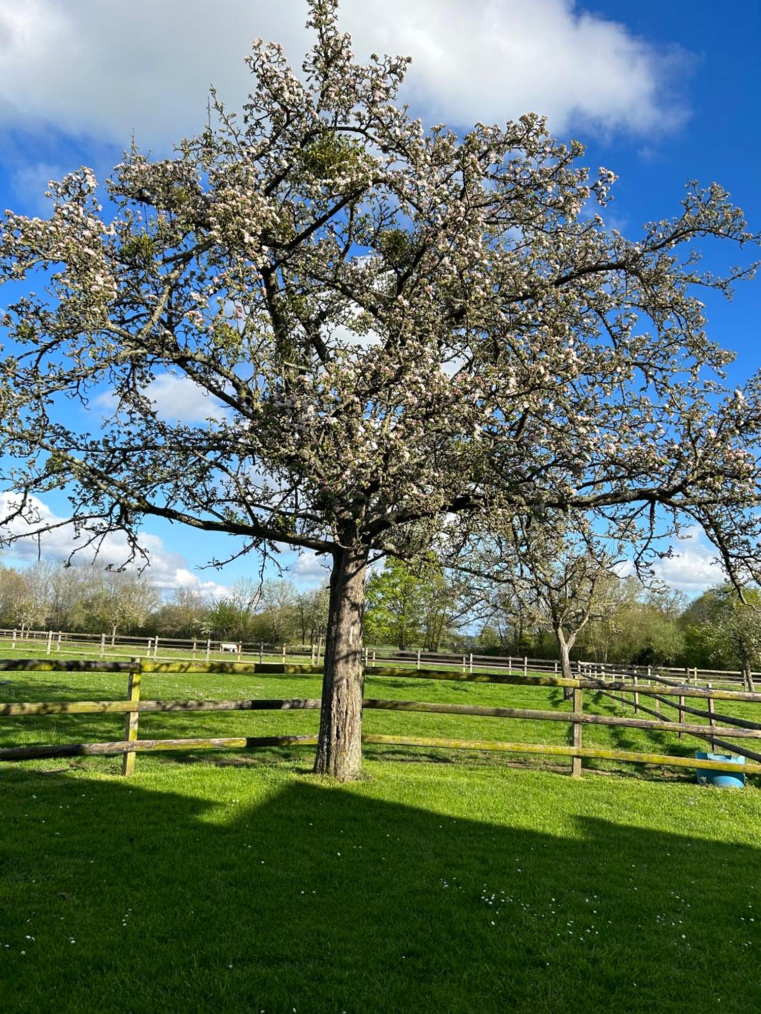 La Longere Du Haras Appartement Manerbe Buitenkant foto