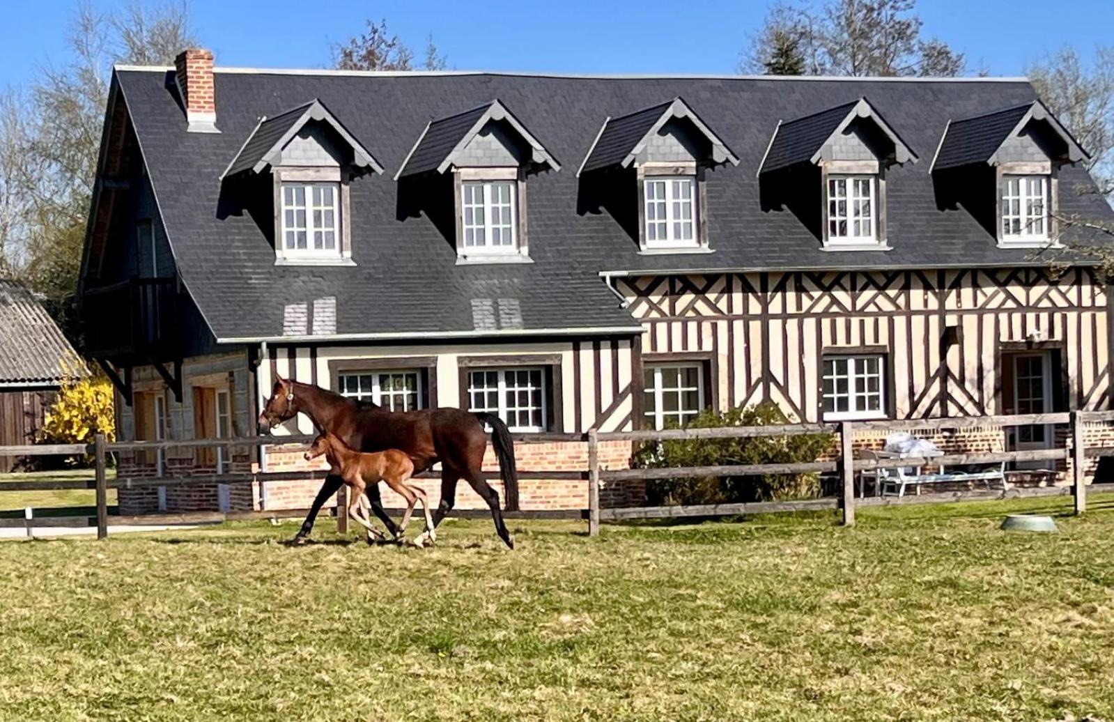 La Longere Du Haras Appartement Manerbe Buitenkant foto